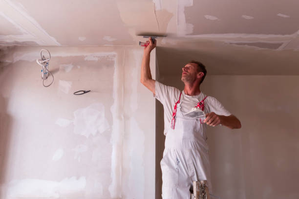 Best Ceiling Drywall Installation  in Georgetown, TX